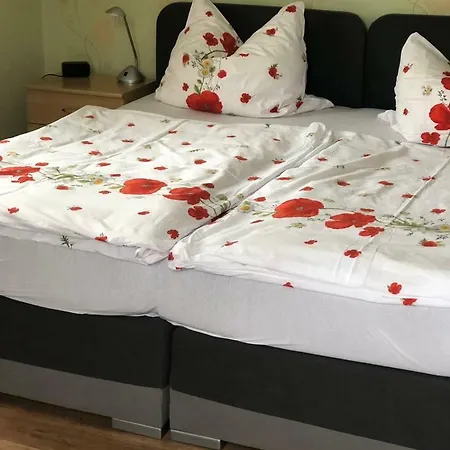 Maison d'hôtes Wiesenau Salzhausen