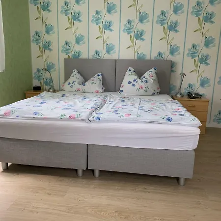 Wiesenau Guest house 2*