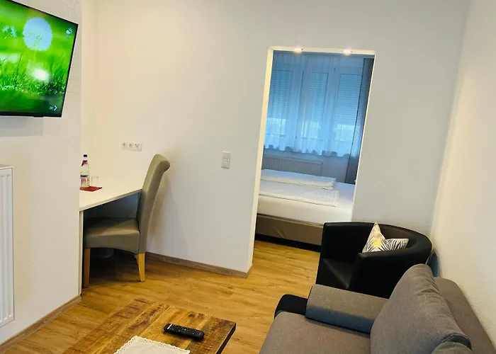 魏森瑙膳食公寓酒店 招待所 2*