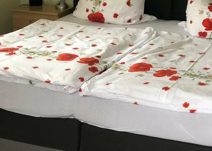 招待所 魏森瑙膳食公寓酒店 Salzhausen