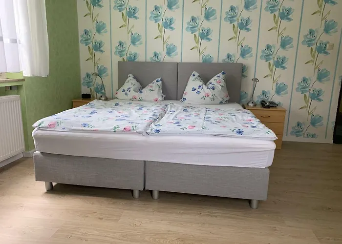 魏森瑙膳食公寓酒店 招待所 2*